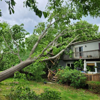 Emergency tree service operation site