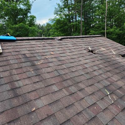 Emergency tree service operation site