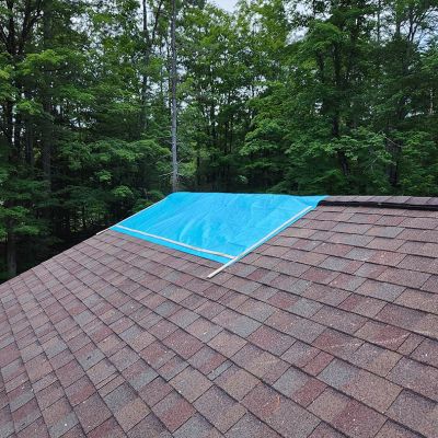 Emergency tree service operation site