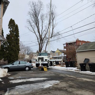 Emergency tree service operation site