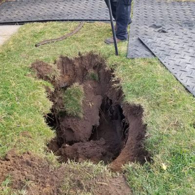 Incorrect tree service practice