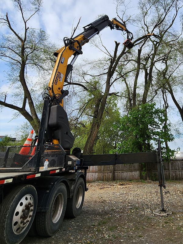 Tree and stump removal