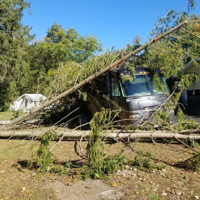 Emergency tree service operation site