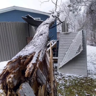 Emergency tree service operation site