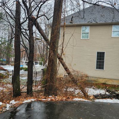 Emergency tree service operation site