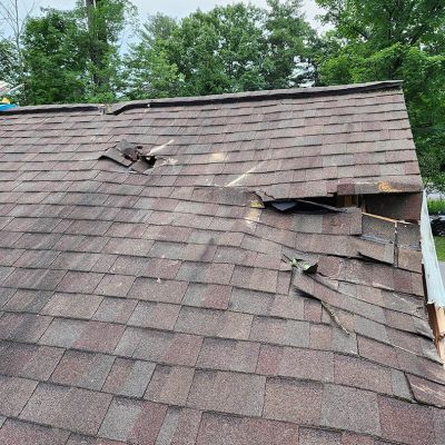 Emergency tree service operation site