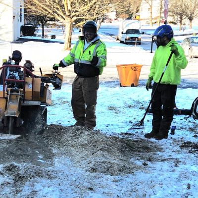 Tree care project image