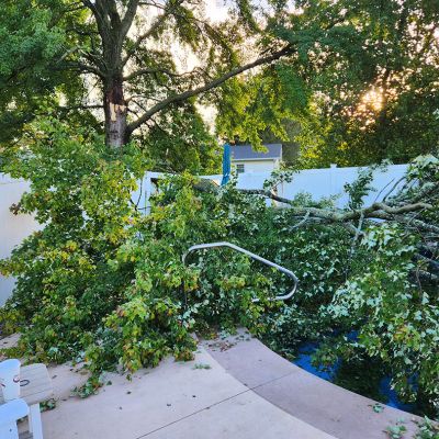 Emergency tree service operation site