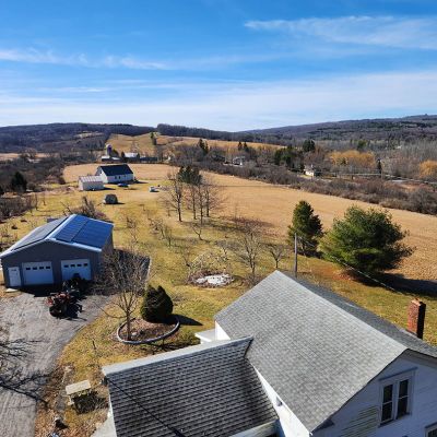 Tree care project image