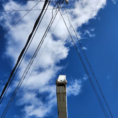 Emergency tree service operation site