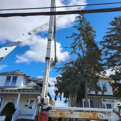 Emergency tree service operation site