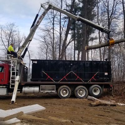 Tree care project image