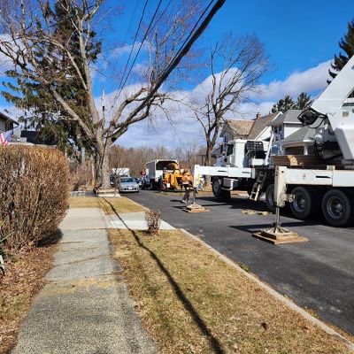 Emergency tree service operation site