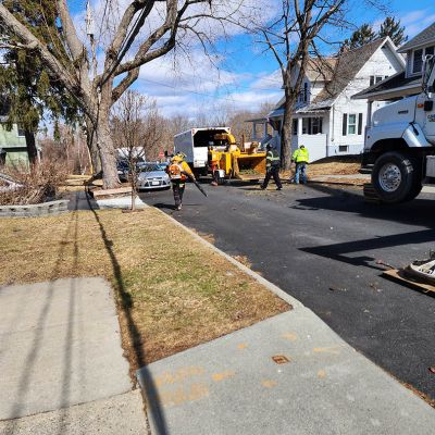 Emergency tree service operation site