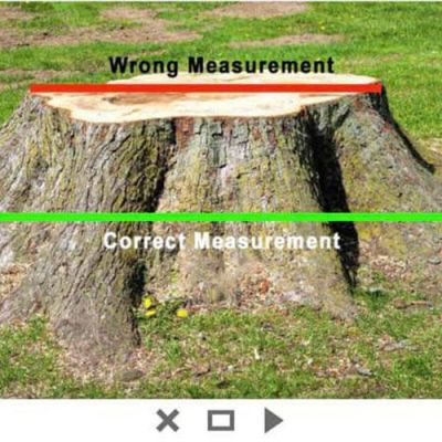 Tree care project image