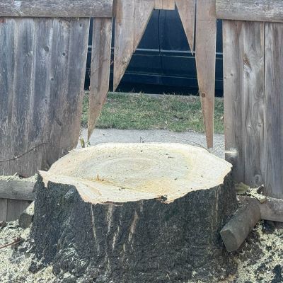 Tree care project image