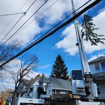 Emergency tree service operation site