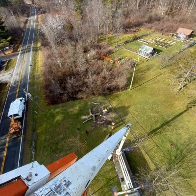 Tree care project image