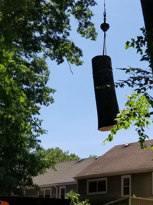 Tree and stump removal