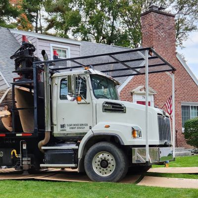 Tree care project image