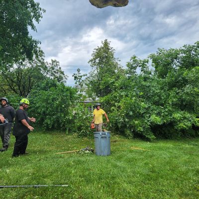 Emergency tree service operation site