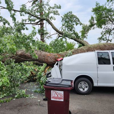 Emergency tree service operation site
