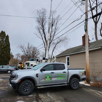 Emergency tree service operation site