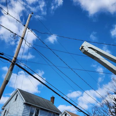 Emergency tree service operation site