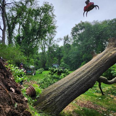 Emergency tree service operation site