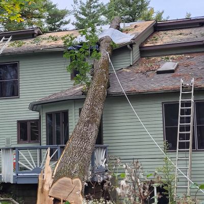 Emergency tree service operation site