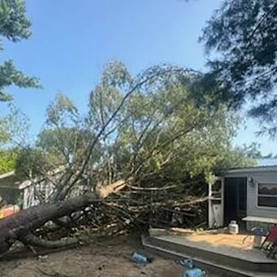 Emergency tree service operation site