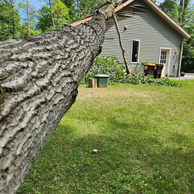 Emergency tree service operation site