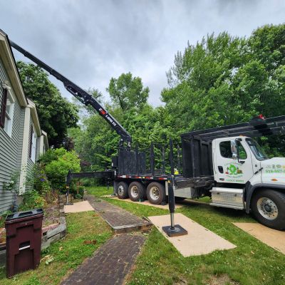 Emergency tree service operation site