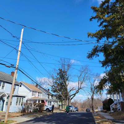 Emergency tree service operation site