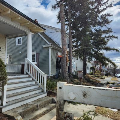 Emergency tree service operation site