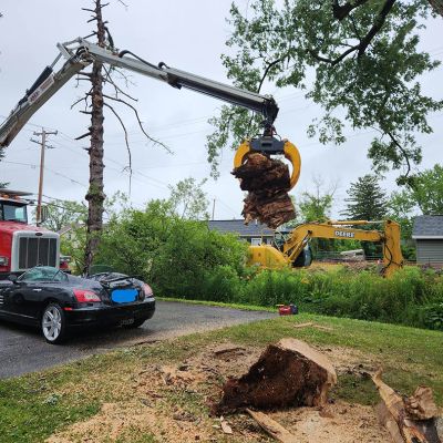 Emergency tree service operation site