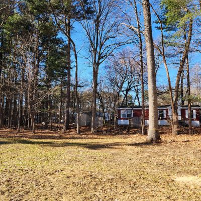 Tree care project image